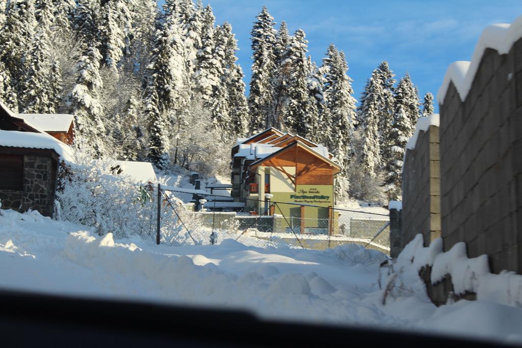 Pine Wood Apartment Vyšné Ružbachy Eksteriør bilde