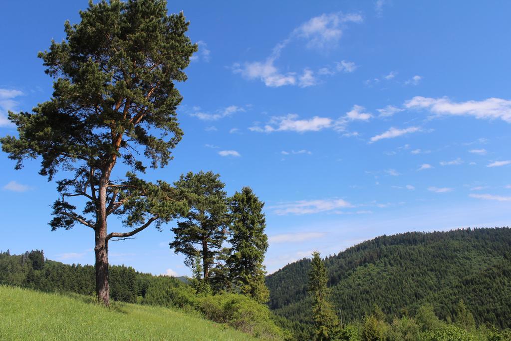Pine Wood Apartment Vyšné Ružbachy Eksteriør bilde